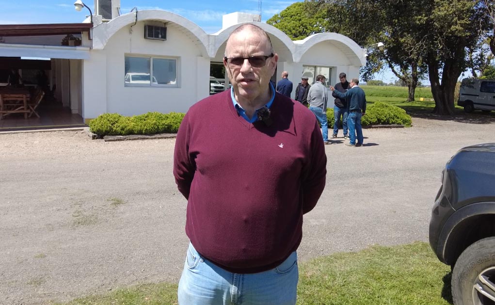 Arvejas verdes y amarillas con grandes posibilidades de exportación